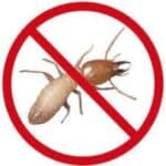 Extreme Termite & Pest Control Termite Treatments