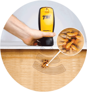 Extreme termite and pest control Termite Inspection 