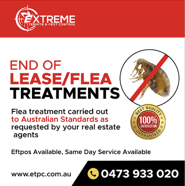Extreme Termite and Pest Control End of lease flea treatments