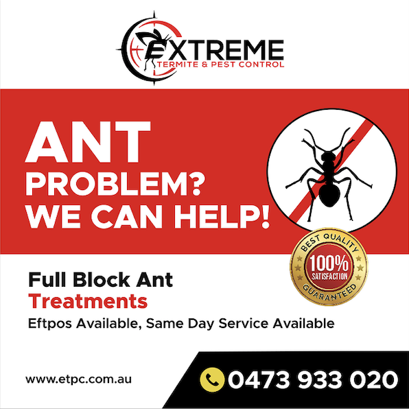 Extreme Termite and Pest Control Ant treatments