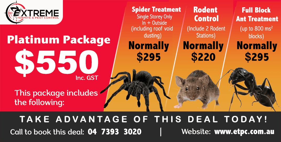 Extreme Termite and Pest Control Package deals