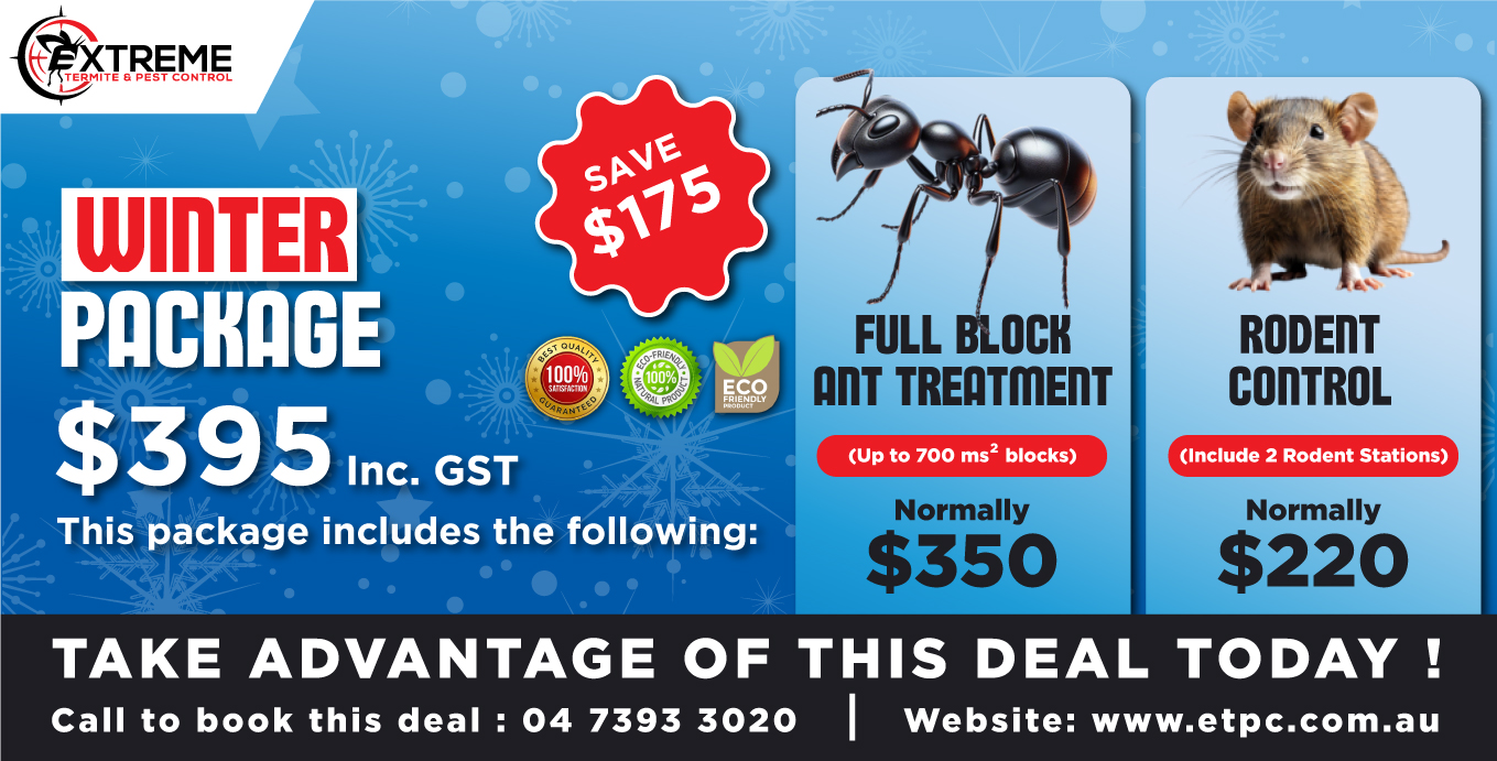 Ants and Rodent Control winter package extreme termite and pest control