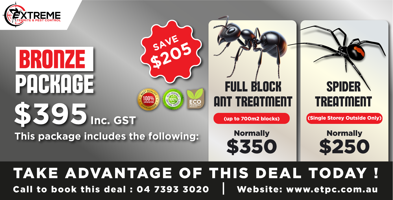 Ants and Spider control treatments Bronze-package extreme termite and pest control