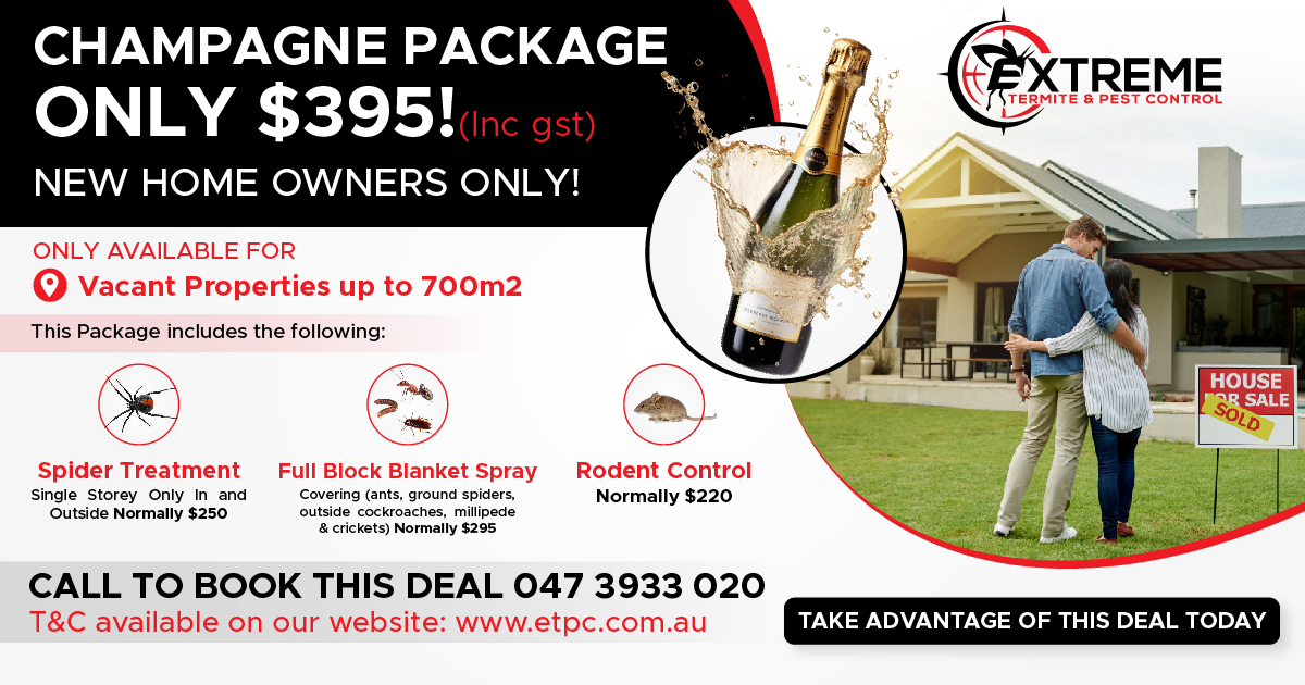 Ants spiders and rodent control extreme termite and pest control