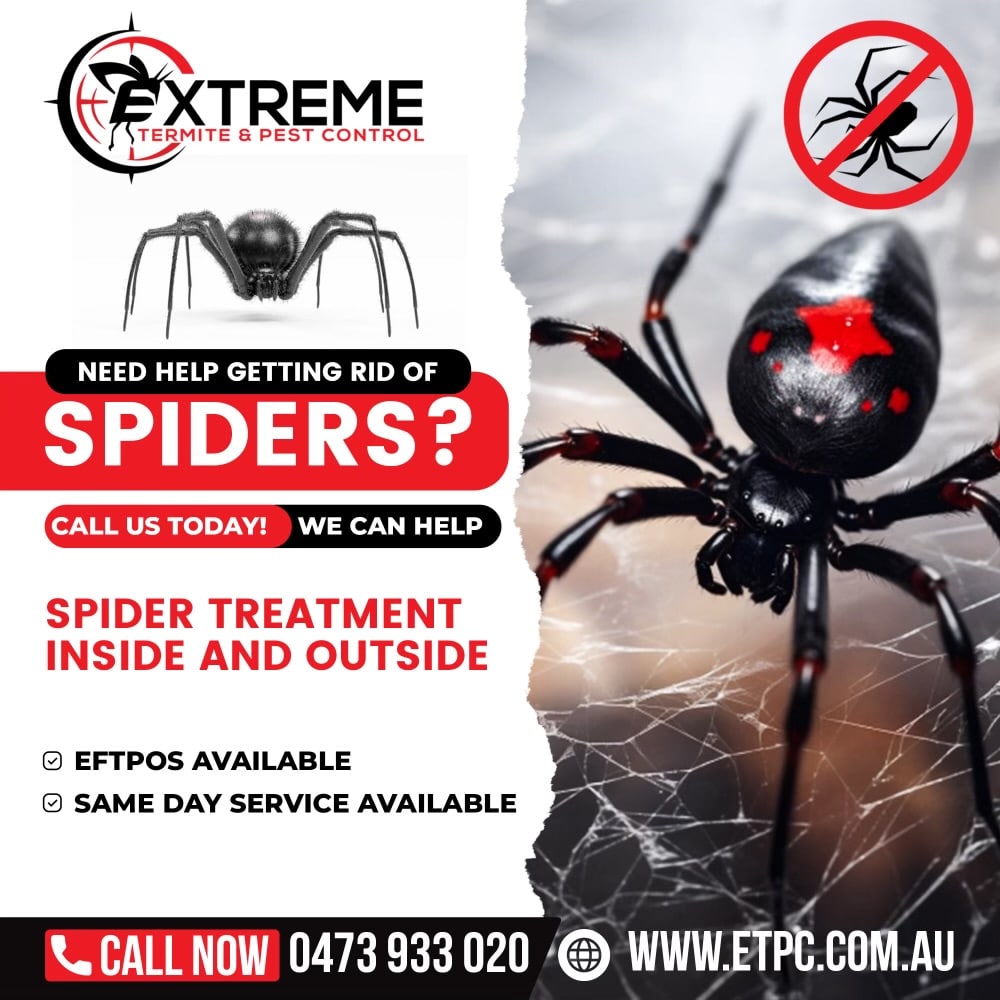 Spider Control Insect Safety Bay Spider Control Treatment - Extreme Termite & Pest Control