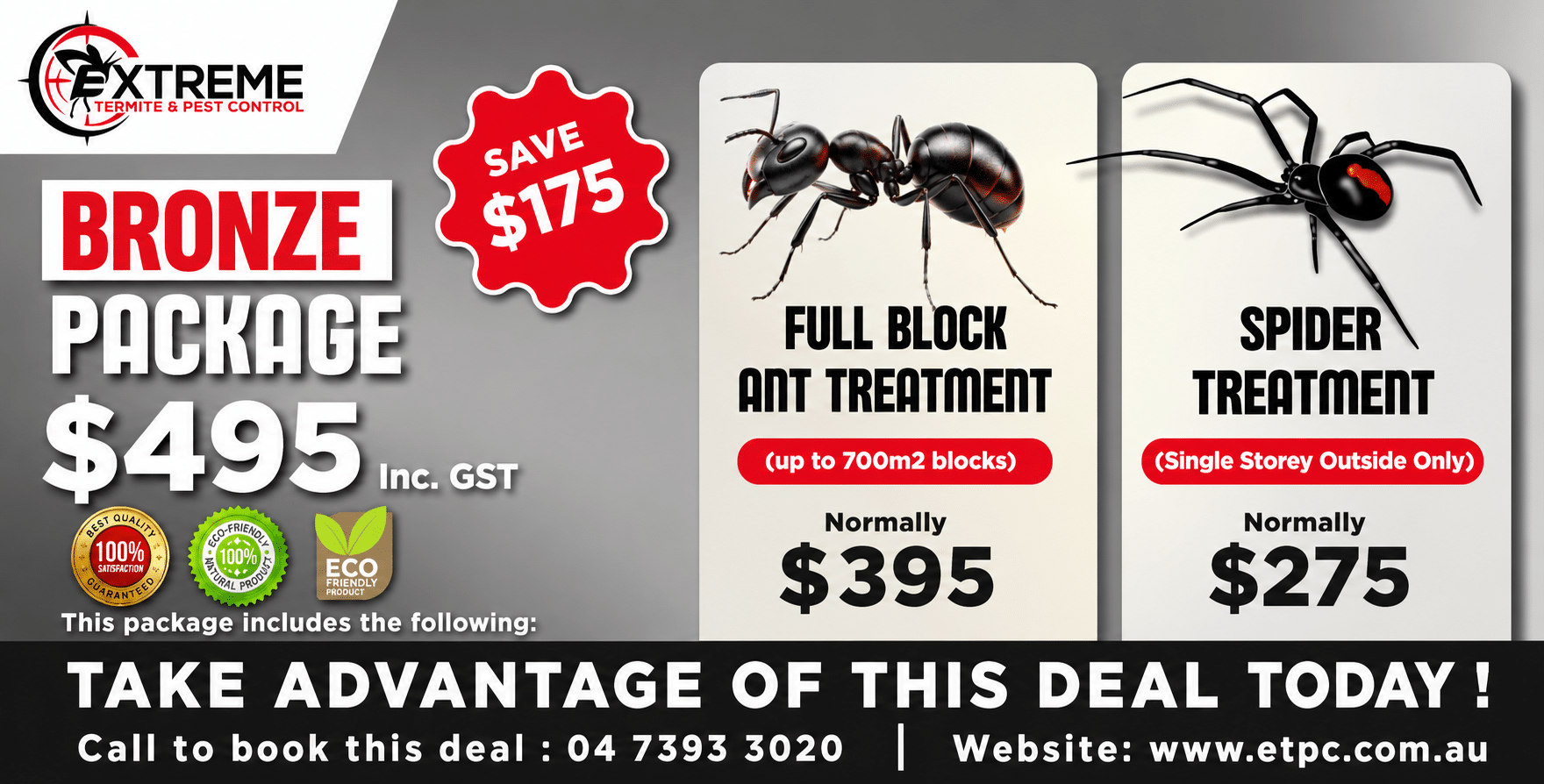Spider and ant treatment package extreme termite and pest control