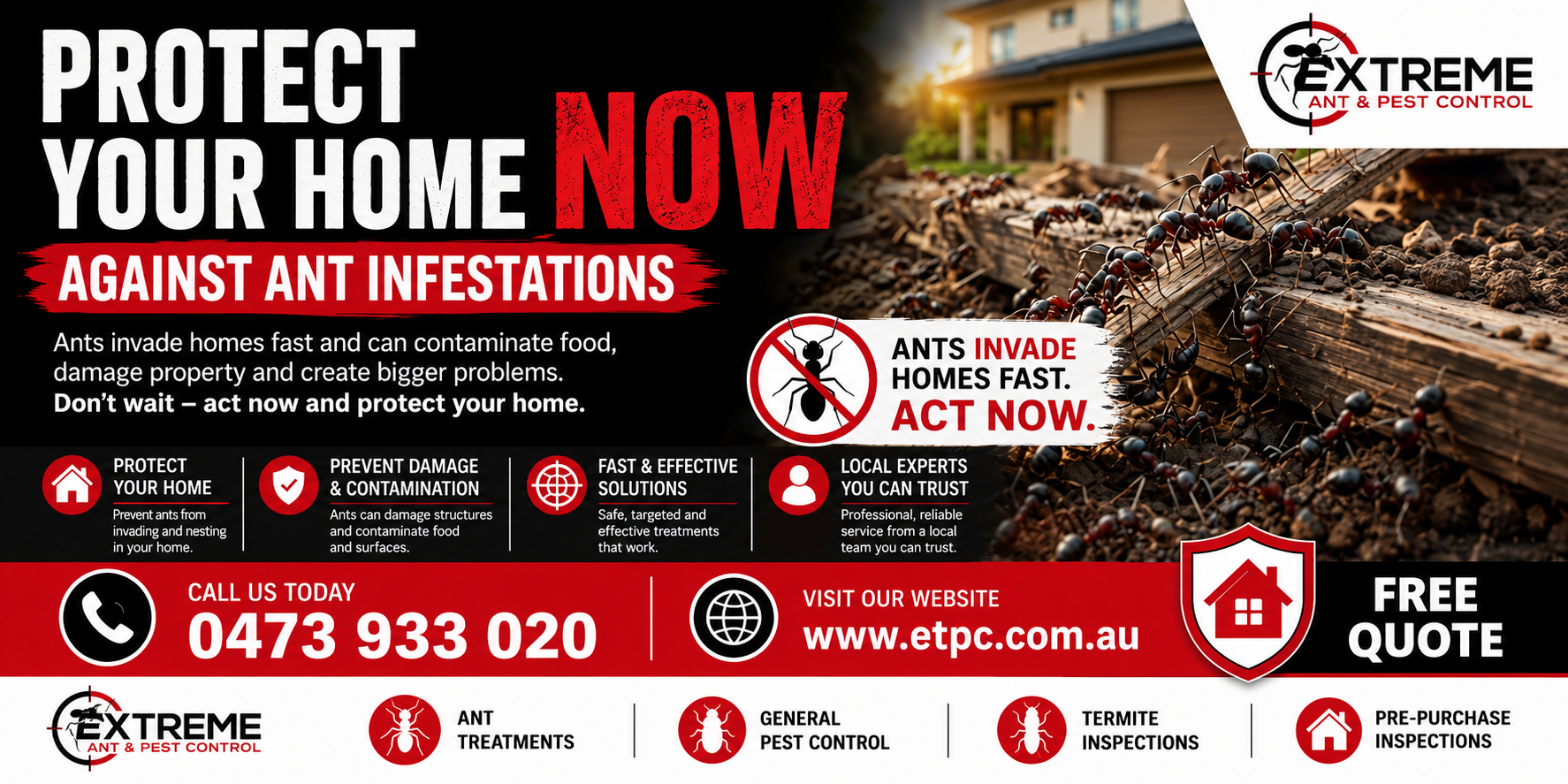 Ant control treatments extreme termite and pest control