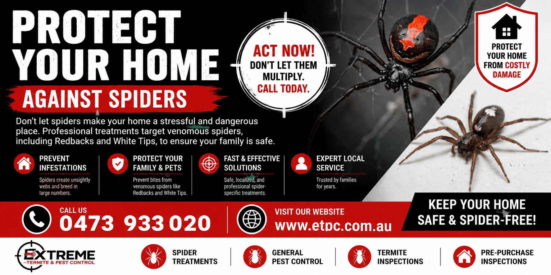 Spider control treatments extreme termite and pest control