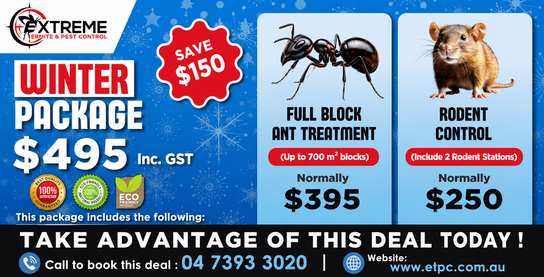 winter pest control package deal ant and rodent control extreme termite and pest control
