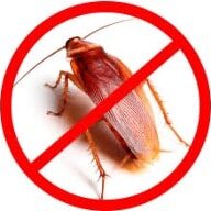 Extreme Termite & Pest Control Cockroach Treatment