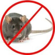 Extreme Termite & Pest Control Rodent Control